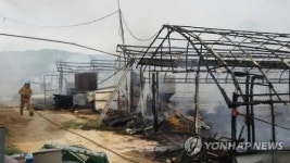 부여 양계장서 화재…병아리 1만1천마리 타 죽어