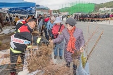 [경남소식] 나무 심기 좋은 계절…22일 내 나무 갖기 캠페인