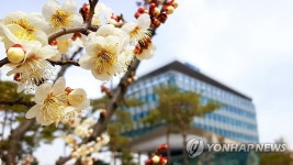 봄꽃 활짝 세종시청