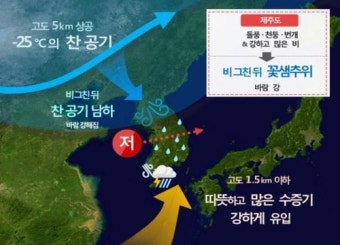 제주도 산지·남부 호우주의보…한라산 입산 통제