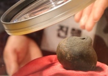 사실인가, 비약인가…대가야 토제방울 그림 해석 논쟁