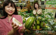 하나로클럽 파파야멜론 출시