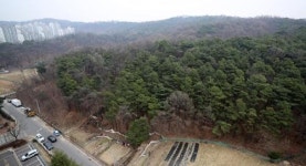 민간공원 개발 이뤄지나…청주 허파 구룡공원 운명은