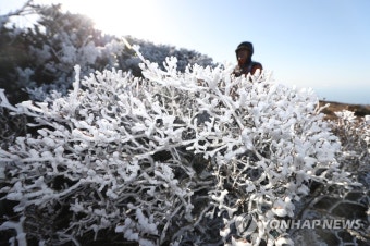 '한라산, 봄의 상고대'