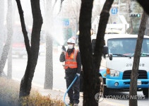 가로수 목욕하는 날