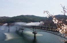 [경북소식] 안동댐 월영교 분수 다시 가동