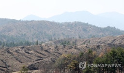고성 산불 1년, 헐벗은 산자락