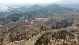 고성 산불 1년, 고스란히 남은 화재 흔적