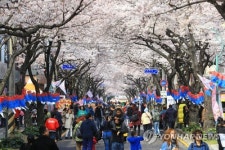 봄 향기에 흠뻑…전농로왕벚꽃축제 개막