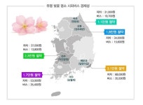 시외버스로 벚꽃구경 가면 교통비 절반 절감