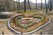 [부산소식] 화명수목원 튤립 전시회