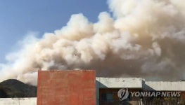 부산 운봉산서 불…하늘 뒤덮은 연기