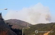 부산 운봉산에 불