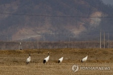 DMZ둘레길 환경오염 우려 크지않아…기존시설에 화장실만 추가