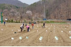 [게시판] 서울시, 친환경농장 7천90구획 6일 개장