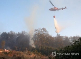 산림 3 탄 포항 운제산서 불씨 재발화…
