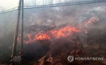 인제서 산불…초속 6.5ｍ 강풍 타고 번져