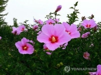 [의회소식] 충북도의회 무궁화 진흥 조례 제정 추진
