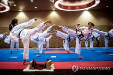 WT와 ITF 태권도 시범단 합동 시범공연