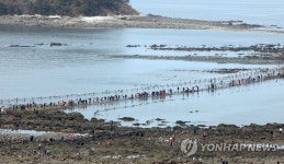 신비의 바닷길 건너는 관광객들