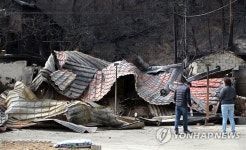 산불이 앗아간 보금자리