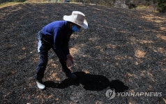 3년 동안 아기처럼 키운 일터인데
