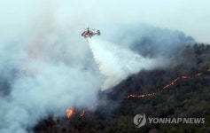 바짝바짝 타던 부산에 반가운 봄비…강수량 13.2mm
