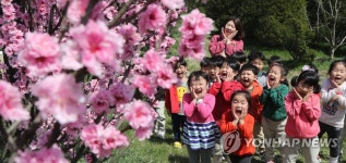 홍도화보다 예쁘죠?