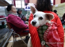 너도 많이 무서웠지…반려견도 함께 지내는 이재민 대피소