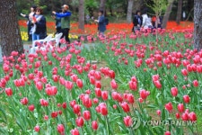 한림공원 튤립축제