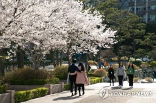 캠퍼스에 활짝 핀 봄꽃