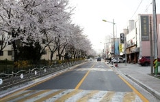 서산 동문동 먹거리골 명품거리로 탈바꿈…7월까지 5억 투입