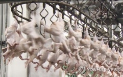 닭고기 가격 30% 떨어졌는데 프랜차이즈 치킨값 요지부동