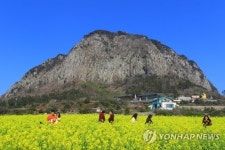 "제주 리브랜딩 전략으로 저가 관광문제 돌파해야"