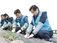 옥수수 모종 심는 박상기 장관