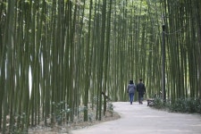 [길따라 멋따라] 곡성·구례·순천으로 떠나는 5월의 프러포즈 여행
