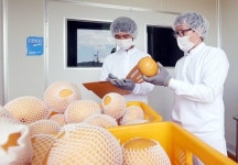 [휴먼n스토리] 고시생서 신지식 청년 농부 된 김영순 대표