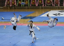 충남 태권도시범단 창단…축제·체육행사서 공연