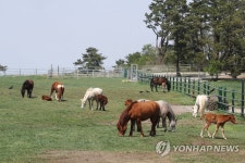 봄이 왔단 말이야