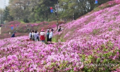 철쭉과 함께하는 봄