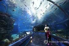 김정은 위원장, 프리모스키 수족관 방문할까?