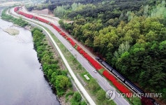 섬진강변 철쭉 만개