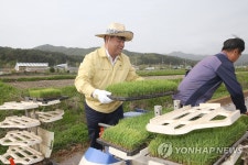 다시 일어서자 산불 피해 동해시, 올해 첫 모내기