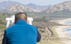 이곳이 평화의 길