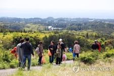 한라산 고사리 캐러가요