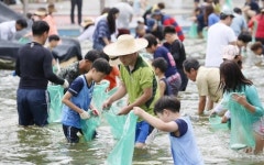 짜릿한 손맛 보성 율포 활어잡기 체험…매주 토요일 운영