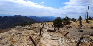 지리산 장터목에서 천왕봉 가는 길