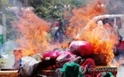타들어가는 양봉 농민의 마음