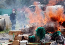타들어가는 양봉 농민의 마음