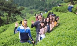 보성다향제 2일 개막…서편제소리축제·철쭉문화행사도 이어져